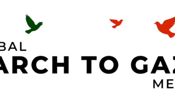 Global March to Gaza Mexico